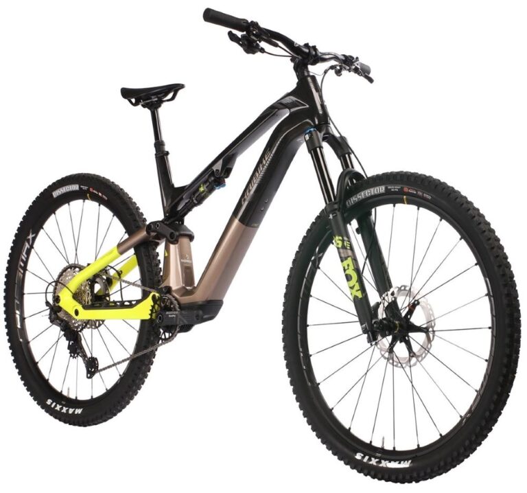 Haibike Lyke CF11 - CHF 8299.00