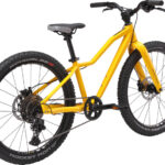 Fury 24" 1.0 yellow – Bild 3