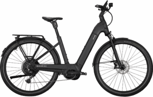 Kettler Alu-Rad Quadriga CX10 Wave - 800Wh