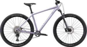 Bixs Core 400 soft purple