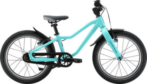 Mustang Fury 18" 2.0 turkis