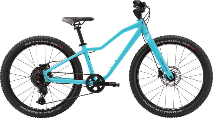 Mustang Fury 24″ 1.0 türkis
