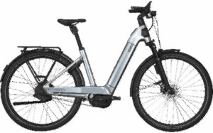 Kettler Alu-Rad Quadriga Pro Wave - 800Wh